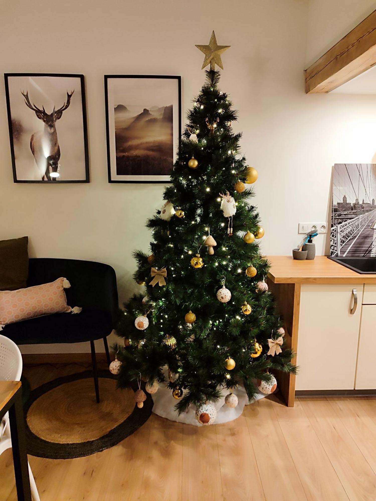 Le Chaleureux Loft 1 Minute Du Tram Apartment Lingolsheim Ngoại thất bức ảnh